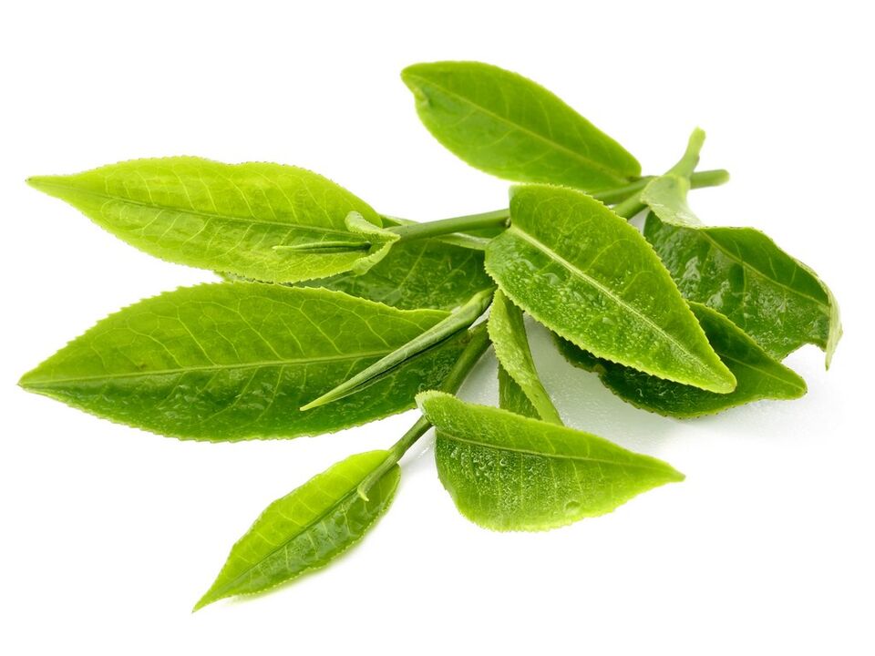 té verde en Keto Matcha
